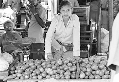 camaguey market